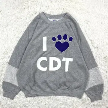 빅 사이즈 오버 사이즈 빅 루즈 I CDT 맨투맨 트레이닝복