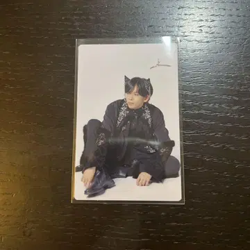료우가 솔로