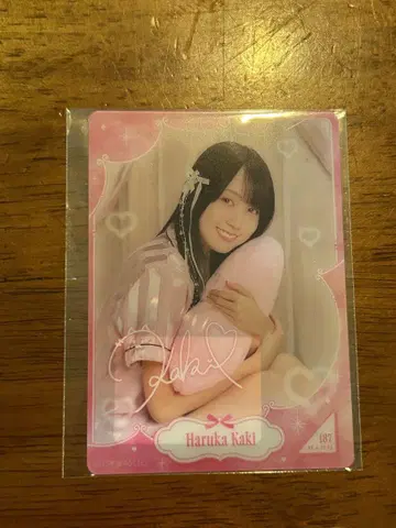 카키 하루카 모바카