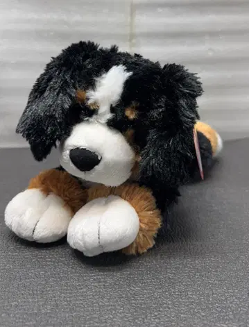 GUND 랜달 도그 6048551