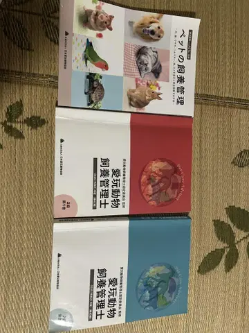 반려동물 사육 관리 애완동물 사육 관리사