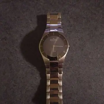 SKAGEN 585 XLTMXM 아날로그 손목시계 실버