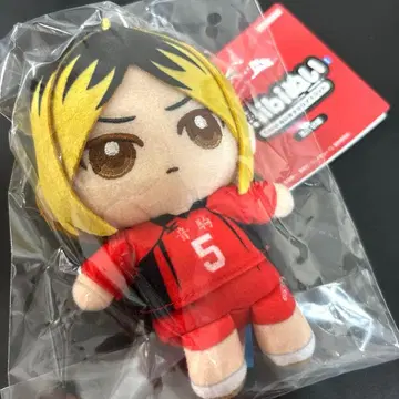 [하이큐!!] Chibi 누이 오스와리 마스코트 코즈메 켄마