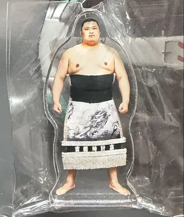 스모 국기관 한정판 가챠 오노사토 잔바라 아크릴 스탠드 초레어