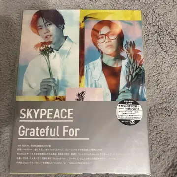 스카이피스 Grateful For 완전 생산 한정판 스카이반