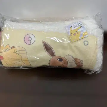 포켓몬스터 피카츄 이브이 담요 블랭킷