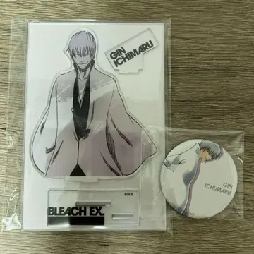 BLEACH 이치마루 긴 원화전
