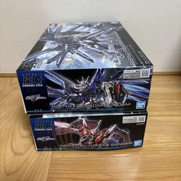 HG 건담 프라모델 라이징 프리덤, 이모탈 저스티스 2체 SET