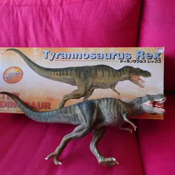 티라노사우루스 Tyrannosaurus Rex 모델 550mm
