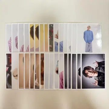 초특급 알로하 브로마이드