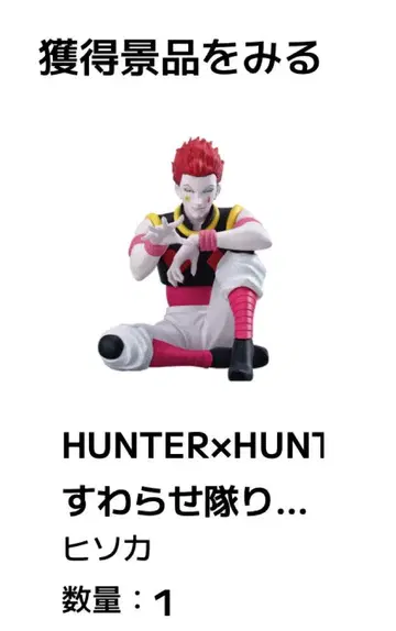 HUNTER x HUNTER 스와라세타이 리얼 2 히소카 헌터헌터