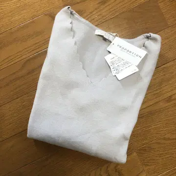 PROPORTION BODY DRESSING 소매 플레어 라메 상의