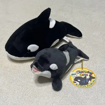 범고래 봉제 인형 2개 세트