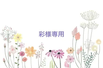 네오 브라이스 아웃핏 오더 원피스