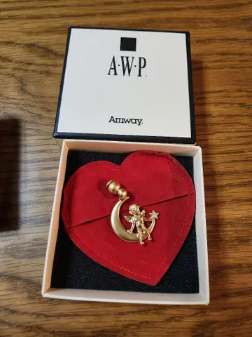 AWP 달과 천사의 브로치 Amway