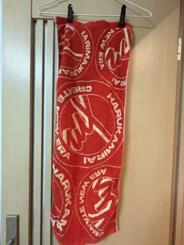 하루카미라이 타월
