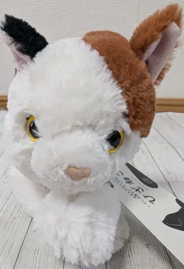 새상품 무릎 고양이 미케 봉제 인형 고양이 완구 힐링 산레몬