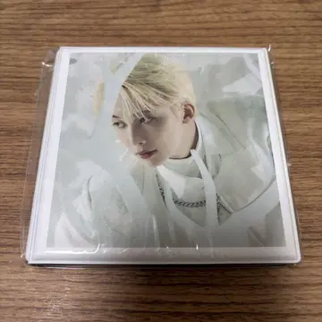 SEVENTEEN 정한 컬렉션 박스