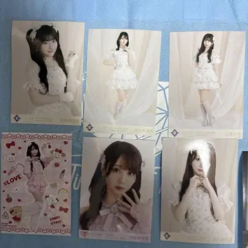 이코럽 사진 세트 14장