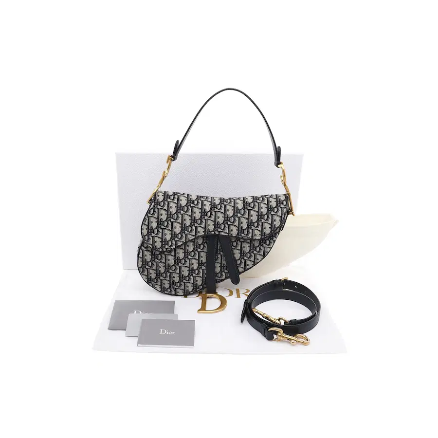 迪奥Oblique帆布中号马鞍包