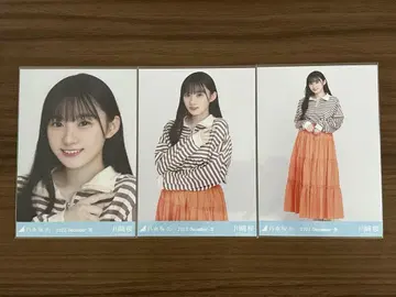 카와사키 사쿠라 노기자카46 브로마이드 하프 지퍼