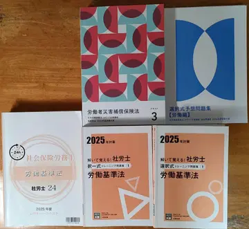 2025년 사로시 24 텍스트 문제집 29권 덤 포사이트 8권