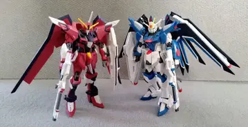 건담 SEED HG 라이징 프리덤 & 이모탈 저스티스 건담 프라모델