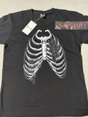 noremid 본 T