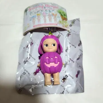 소니 엔젤 호박 패치 롭이어 토끼