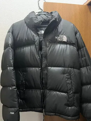 THE NORTH FACE 눕시 700필