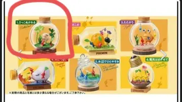 피크민 테라리움