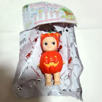소니엔젤 호박 패치 pumpkin patch 고양이 고양이