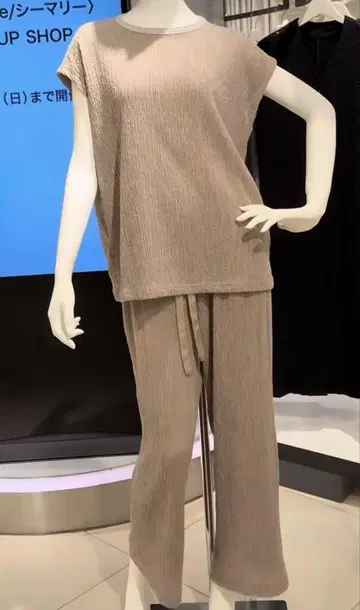 셋업 베이지 시마리 cccmalie