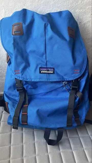 patagonia 파랑 백팩