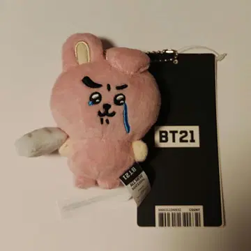 BT21 봉제 인형 키링 에~응 TODAY'S FACE COOKY
