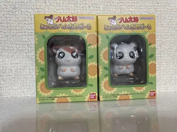 햄 인형