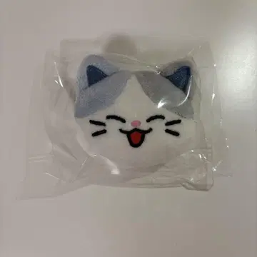NCTDREAM 런쥔 dreamiez lemyo 배지 POPUP