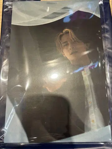 후카보리 미라이 패널
