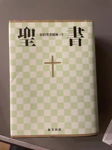 성경 그린 체크 무늬