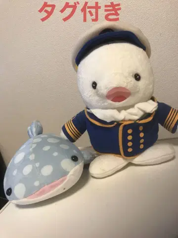 나고야항 수족관 캡틴 벨루가 봉제 인형