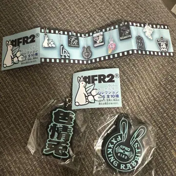 FR2 컬렉션 Vol.6 아크릴 키링 2개