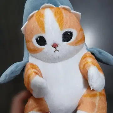 모프 샌드 상어냥