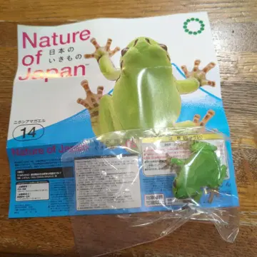 일본 청개구리 Nature of Japan