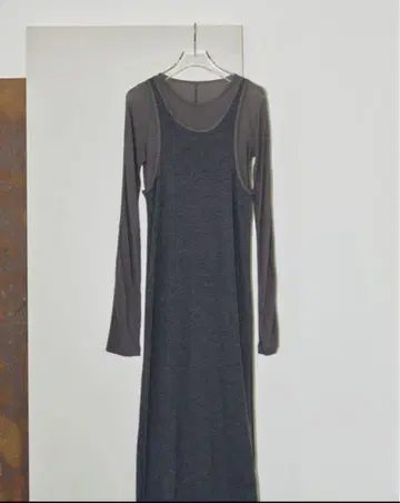 Layered Sheer Dress 36 / todayful