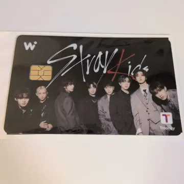 스트레이 키즈 wowpass 와우패스 올 스키즈