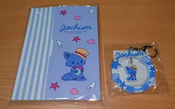 JOCHUM 레인 세트 덤 포함