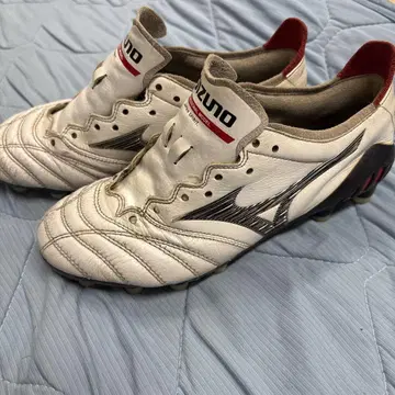 모렐리아 네오 3 JAPAN 22.0cm