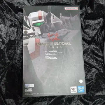 혼 네이션 한정판 마크로스 DX 초합금 VF-1J 발키리 이치죠 히카루기