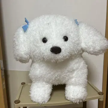 화이트 푸들 big 봉제 인형
