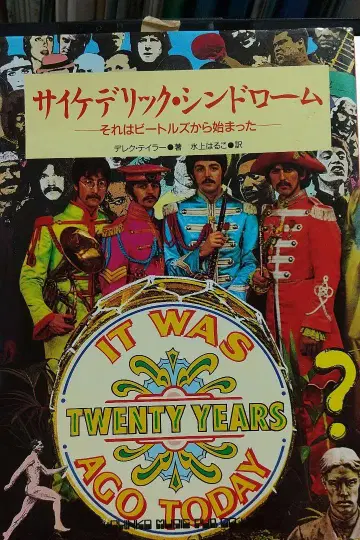 사이키델릭 신드롬